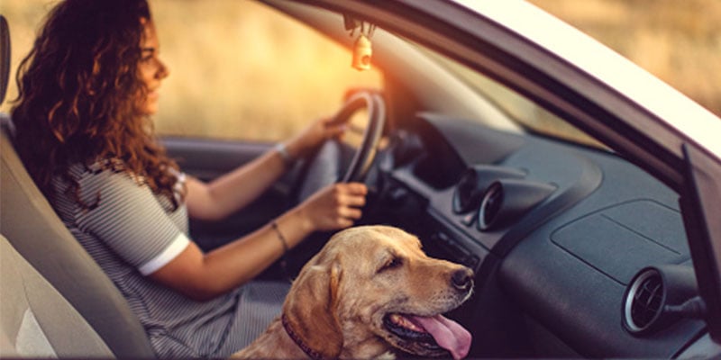 Woman driving in car with her dog 